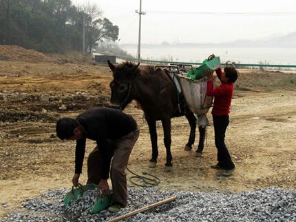 What Do Horse cargo Symbolize in Dreams and How to Interpret the Meaning