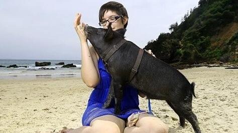 What Do Wife holding pig Symbolize in Dreams and How to Interpret the Meaning