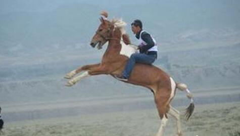 What Do Riding a horse to run Symbolize in Dreams and How to Interpret the Meaning