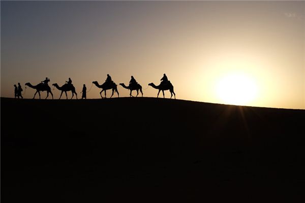 What Do Riding a camel Symbolize in Dreams and How to Interpret the Meaning