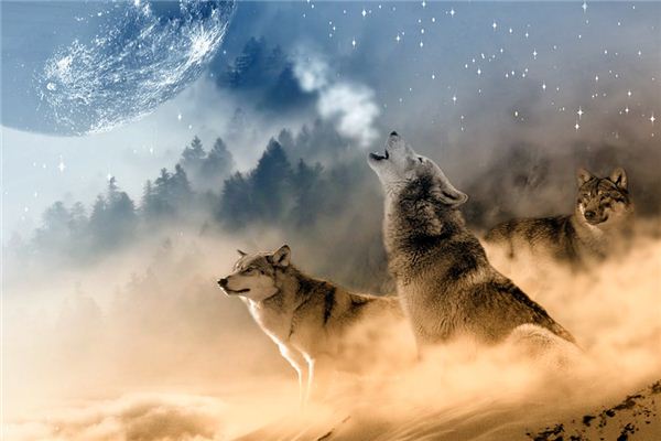 What Do Wolves Symbolize in Dreams and How to Interpret the Meaning