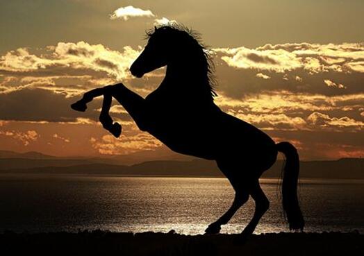 What Do Riding a black horse Symbolize in Dreams and How to Interpret the Meaning