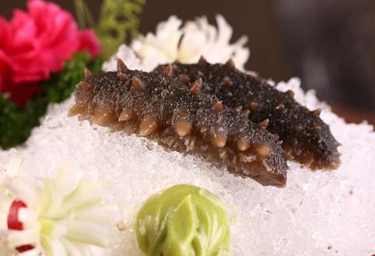 What Do Sea cucumber Symbolize in Dreams and How to Interpret the Meaning