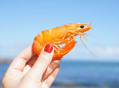 What Do Shrimp Symbolize in Dreams and How to Interpret the Meaning
