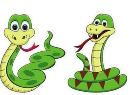 What Do A group of snakes walked by Symbolize in Dreams and How to Interpret the Meaning