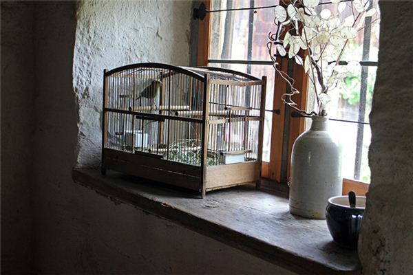 A case study of dreaming of a bird in a cage