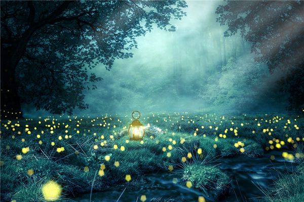Dream Case Study of Fireflies