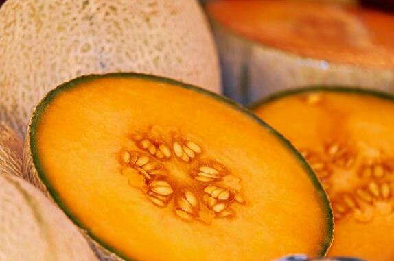 Dream Case Study of Muskmelon