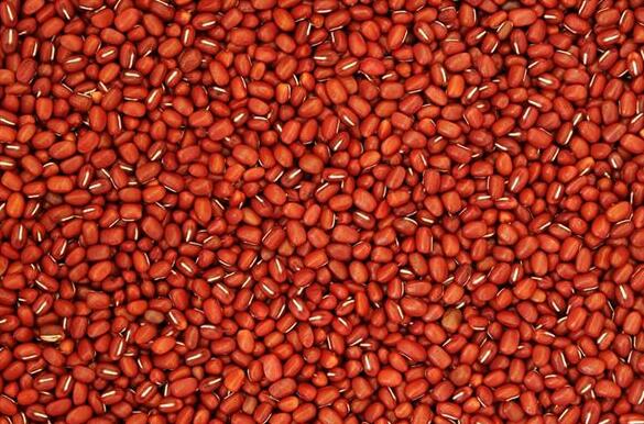 Dream Case Study of Red Beans