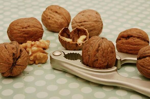 Case Study of Dreaming of Walnuts