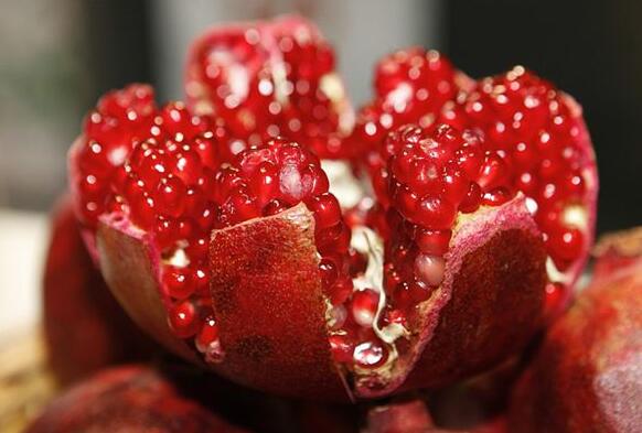 Dream Case Study of Pomegranate