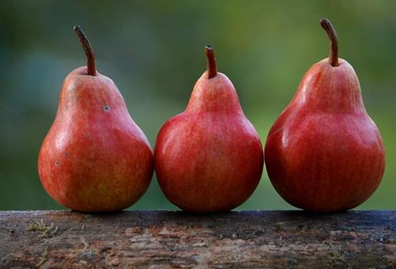 Case Study of Dreaming of a Pear