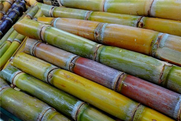 The meaning and symbol of sugar cane in dream