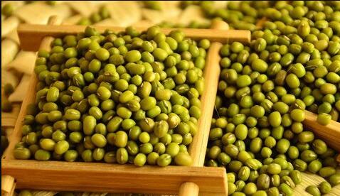 The meaning and symbol of Mung beans in dream