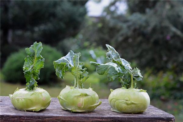 The meaning and symbol of Rutabaga in dream