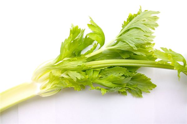 The meaning and symbol of celery in dream