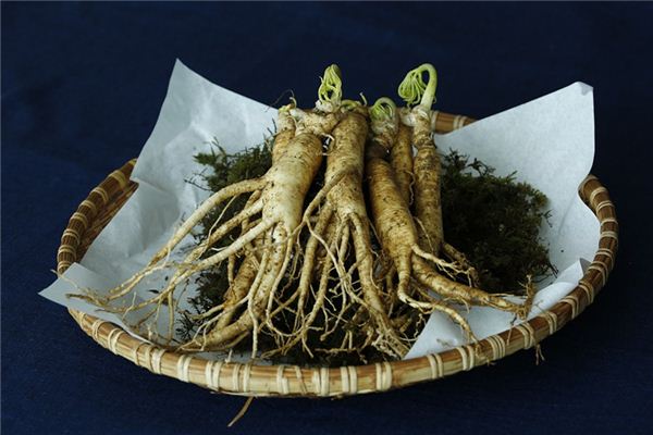 The meaning and symbol of Ginseng in dream