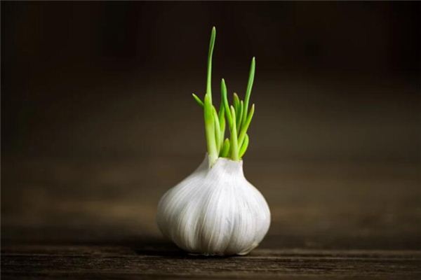 The meaning and symbol of Garlic in dream