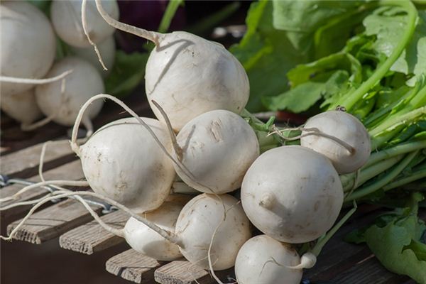 The meaning and symbol of White radish in dream