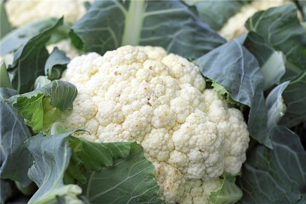 The meaning and symbol of Cauliflower in dream
