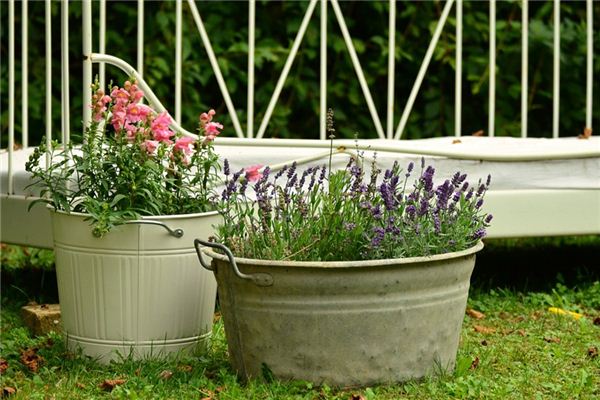 The meaning and symbol of Pots and buckets in dream