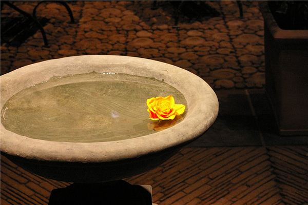 The meaning and symbol of basin in dream