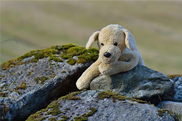 The meaning and symbol of Toy dog in dream