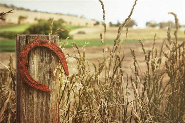 The meaning and symbol of horseshoe in dream