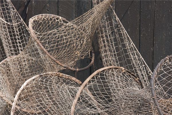 The meaning and symbol of Fishing net in dream
