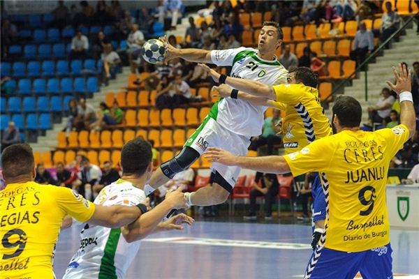 The meaning and symbol of Handball in dream