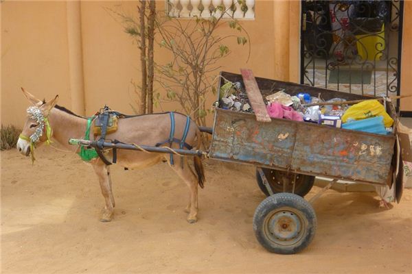 The meaning and symbol of Pick up trash in dream