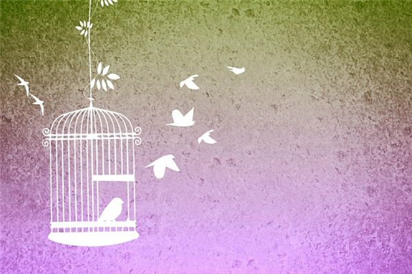 The meaning and symbol of birdcage in dream