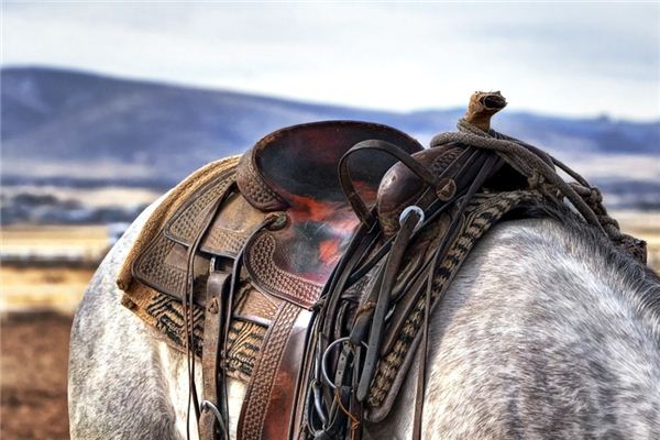 The meaning and symbol of saddle in dream