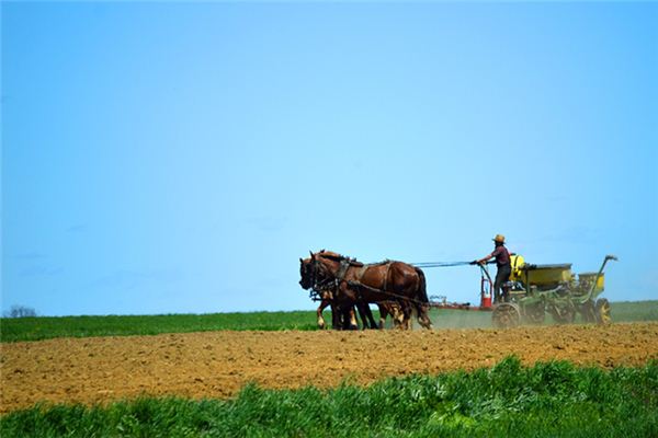 The meaning and symbol of Plowing in dream