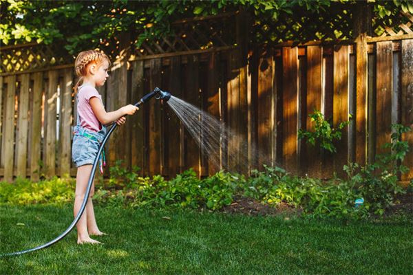 The meaning and symbol of irrigation in dream