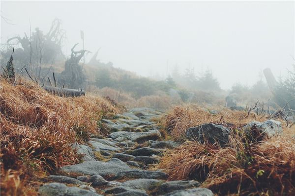 What is the meaning and symbolism of walking the mountain road in a dream?