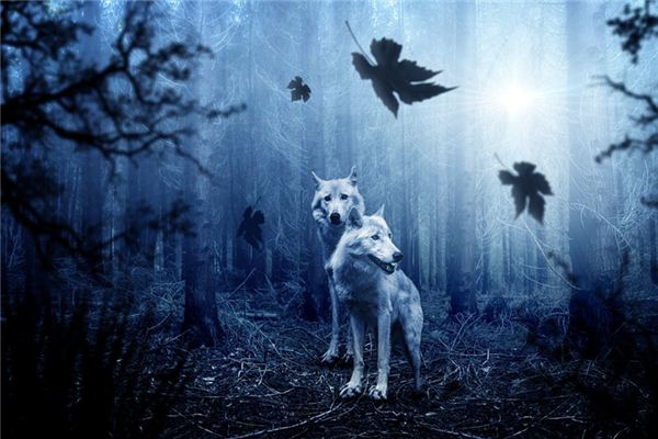What is the meaning and symbolism of fighting a wolf in a dream?