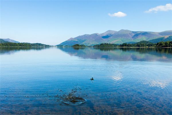 What is the meaning and symbolism of looking at the calm water in the dream?