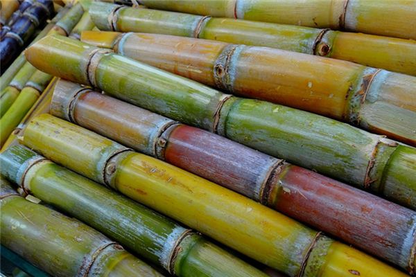 What is the meaning and symbol of stealing sugar cane in a dream?
