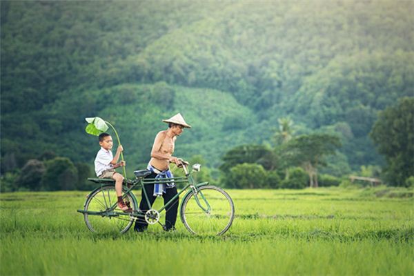 What is the meaning and symbol of pushing a bicycle in a dream?