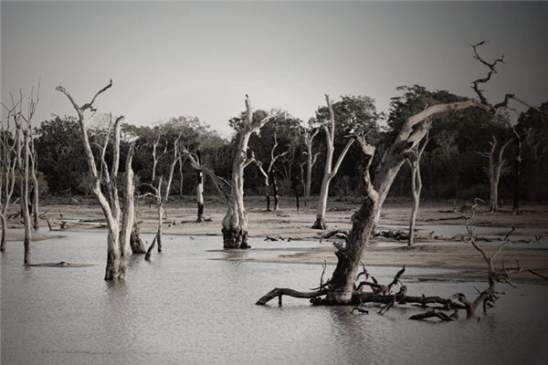 The meaning and symbol of flood in dreams