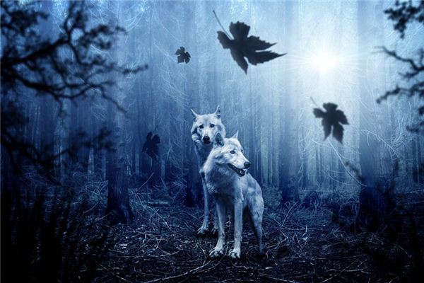 The meaning and symbol of being chased by a wolf in a dream