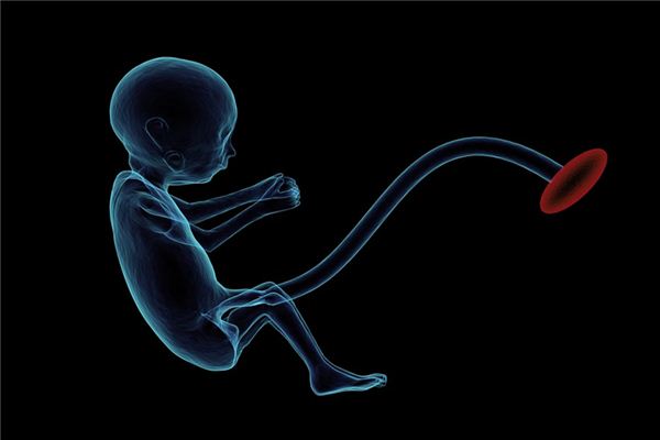 The meaning and symbol of fetal movement in dreams