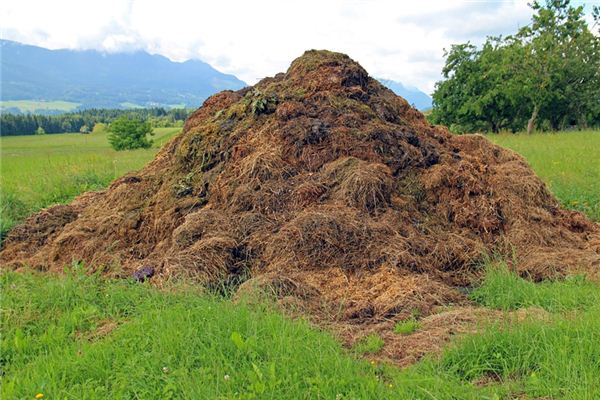 The meaning and symbol of compost in dreams