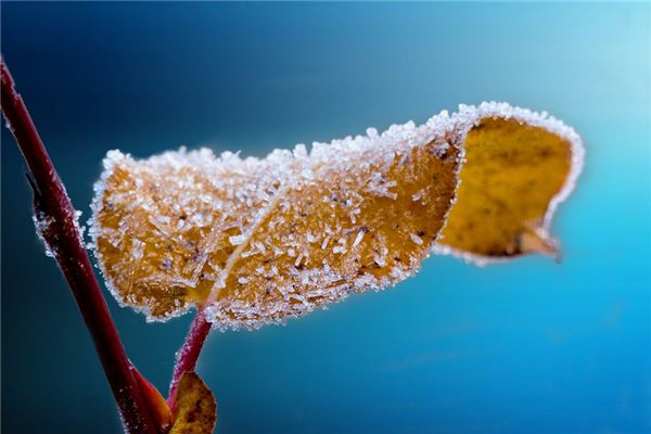 The meaning and symbol of being covered with frost in dreams