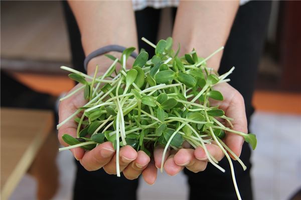 The meaning and symbol of buying bean sprouts in dreams