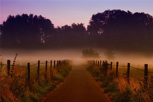 The meaning and symbol of fence construction in dreams