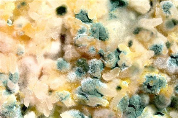 The meaning and symbol of moldy in dreams