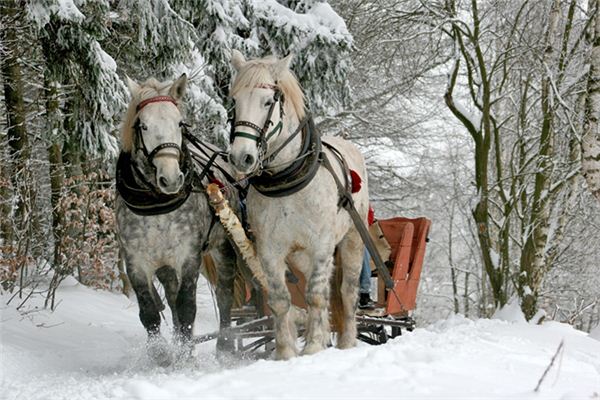 The meaning and symbol of horses pulling dead people in dreams