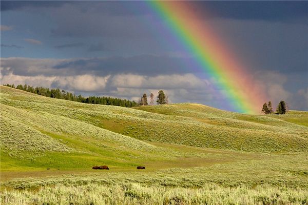 The meaning and symbol of rainbow in dreams